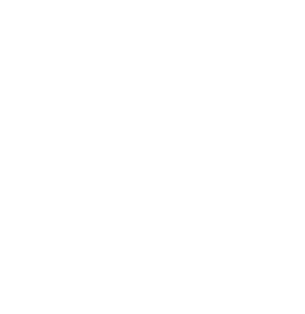 Alexander Straub Logo
